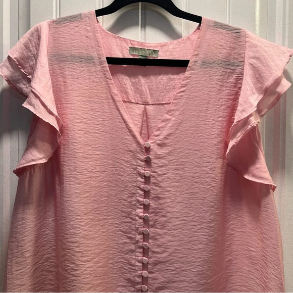 Ryegrass Buckingham Rose Button Front Semi Sheer Ruffle Sleeve Blouse. Size XL. - Picture 5 of 13